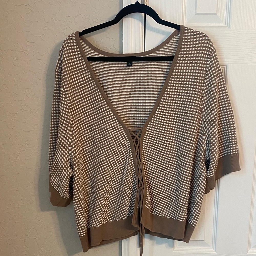 Torrid Brown and Cream V-Neck Sweater
